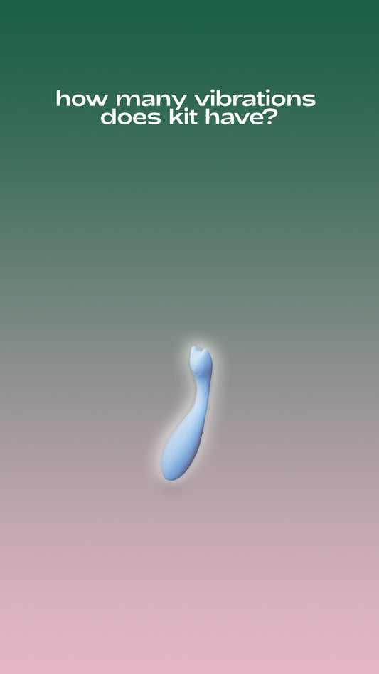 The Dildo Buyer's Guide