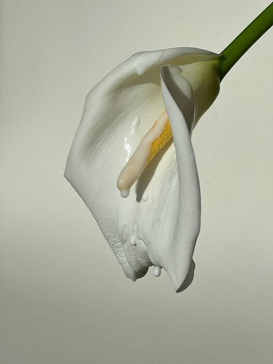 How to stimulate the clitoris? A pleasure-first guide.