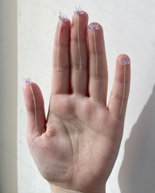 shop date night sex chocolate here