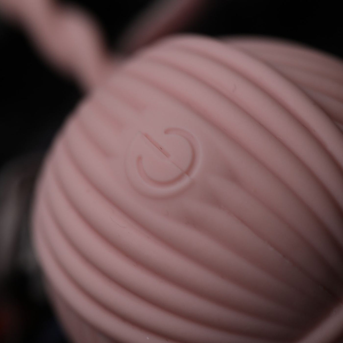 Close-up of the vibrator power button and textured silicone